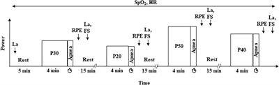 Exponential Relationship Between Maximal Apnea Duration and Exercise Intensity in Non-apnea Trained Individuals